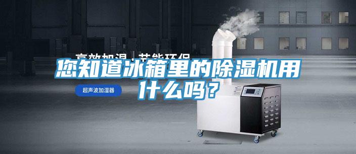 您知道冰箱里的除濕機用什么嗎？