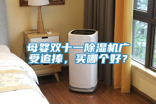 母嬰雙十一除濕機廣受追捧，買哪個好？