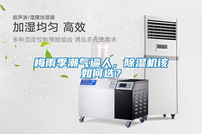梅雨季潮氣逼人，除濕機該如何選？