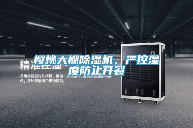 櫻桃大棚除濕機，嚴控濕度防止開裂