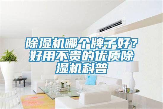 除濕機哪個牌子好？好用不貴的優質除濕機科普