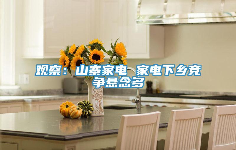 觀察：山寨家電 家電下鄉競爭懸念多