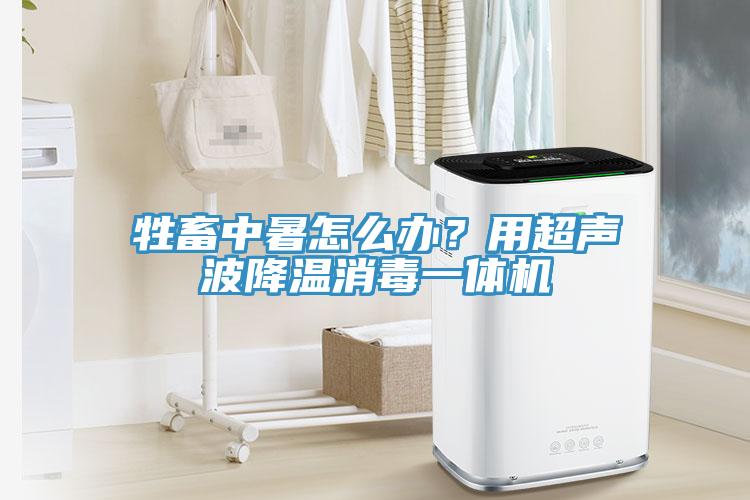 牲畜中暑怎么辦？用超聲波降溫消毒一體機