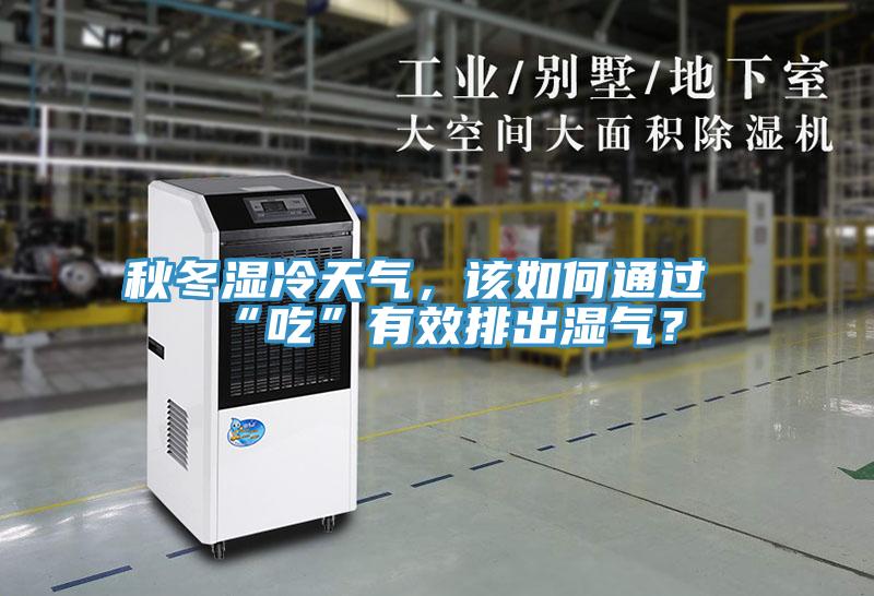 秋冬濕冷天氣，該如何通過“吃”有效排出濕氣？