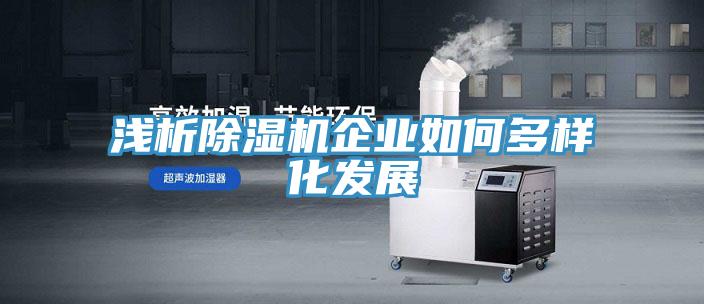 淺析除濕機企業如何多樣化發展
