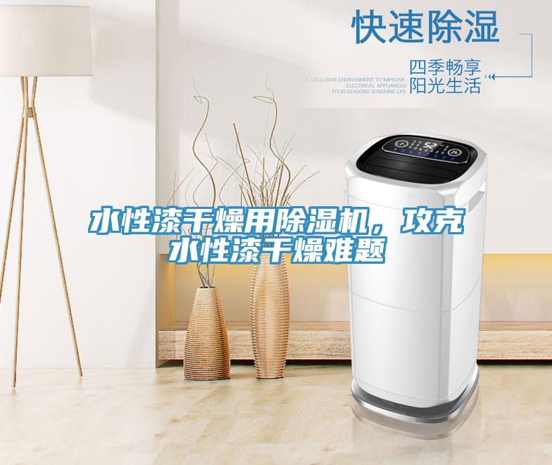 水性漆干燥用除濕機，攻克水性漆干燥難題
