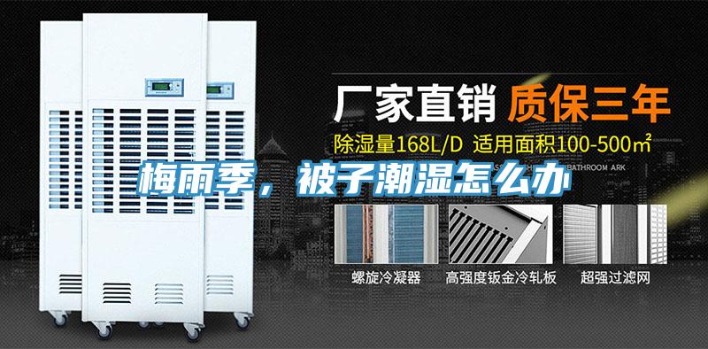 梅雨季，被子潮濕怎么辦