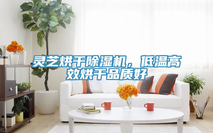 靈芝烘干除濕機，低溫高效烘干品質好