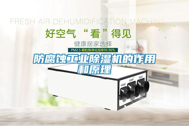 防腐蝕工業除濕機的作用和原理