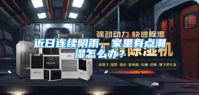 近日連續陰雨，家里有點潮濕怎么辦？