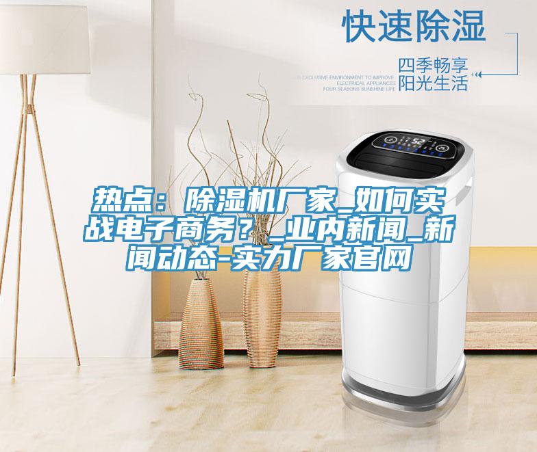 熱點：除濕機廠家_如何實戰電子商務？_業內新聞_新聞動態-實力廠家官網