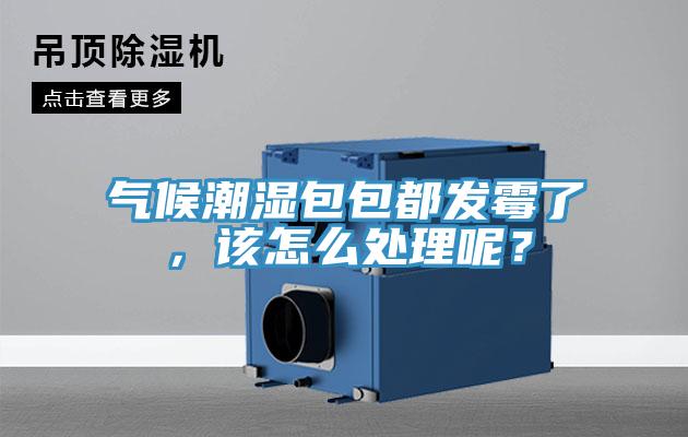 氣候潮濕包包都發霉了，該怎么處理呢？