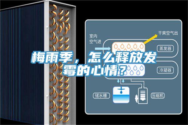 梅雨季，怎么釋放發霉的心情？