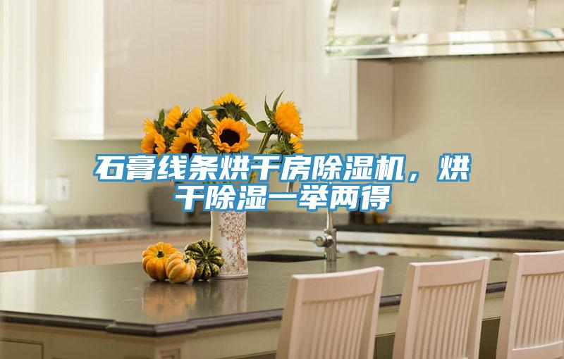 石膏線條烘干房除濕機，烘干除濕一舉兩得