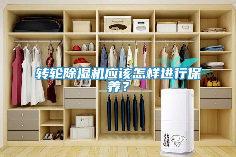 轉輪除濕機應該怎樣進行保養？