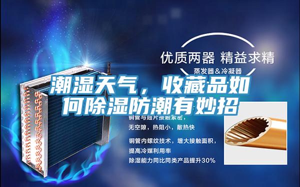 潮濕天氣，收藏品如何除濕防潮有妙招