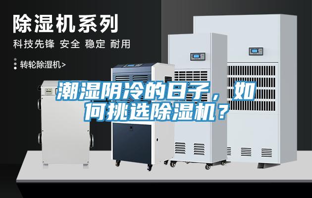 潮濕陰冷的日子，如何挑選除濕機？
