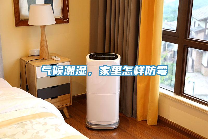 氣候潮濕，家里怎樣防霉