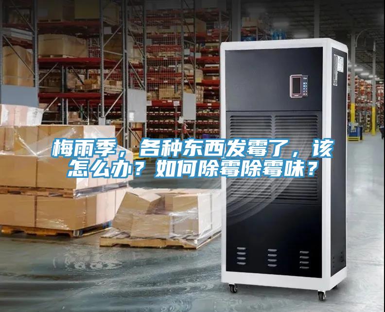 梅雨季，各種東西發霉了，該怎么辦？如何除霉除霉味？