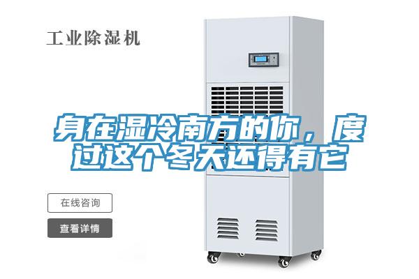 身在濕冷南方的你，度過這個冬天還得有它