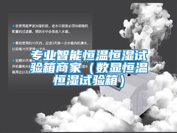 專業智能恒溫恒濕試驗箱商家（數顯恒溫恒濕試驗箱）