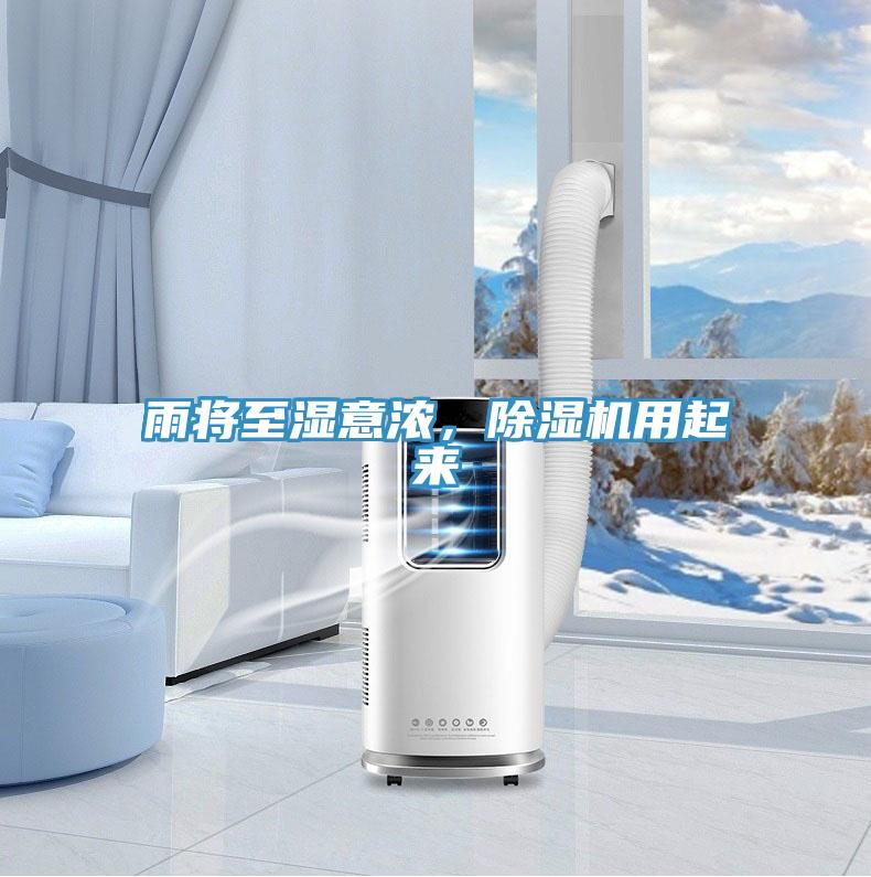 雨將至濕意濃，除濕機用起來