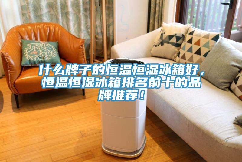 什么牌子的恒溫恒濕冰箱好，恒溫恒濕冰箱排名前十的品牌推薦！