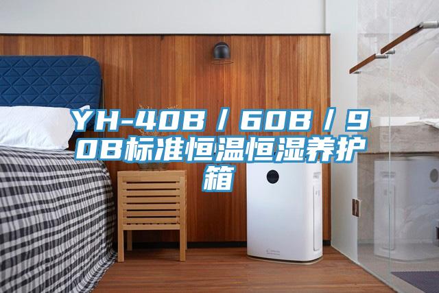 YH-40B／60B／90B標準恒溫恒濕養護箱