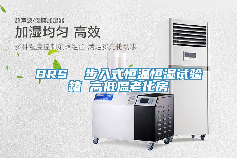 BRS  步入式恒溫恒濕試驗箱 高低溫老化房