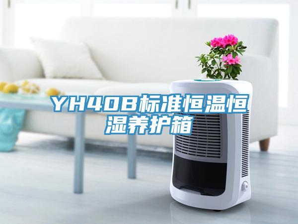 YH40B標準恒溫恒濕養護箱