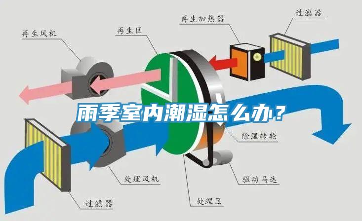 雨季室內潮濕怎么辦？