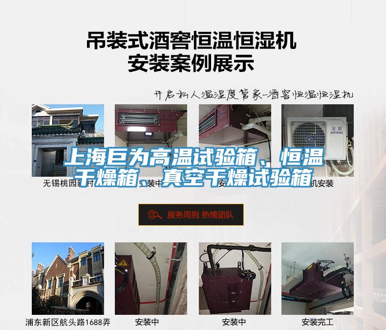 上海巨為高溫試驗箱、恒溫干燥箱、真空干燥試驗箱