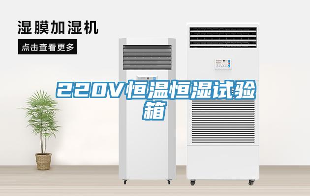 220V恒溫恒濕試驗箱