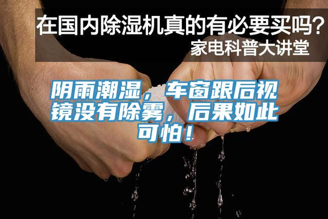陰雨潮濕，車窗跟后視鏡沒有除霧，后果如此可怕！