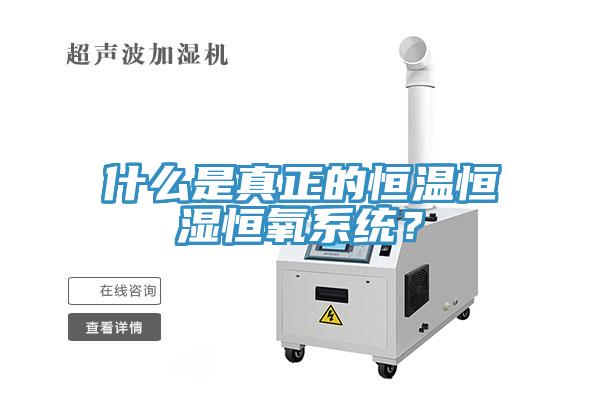 什么是真正的恒溫恒濕恒氧系統？