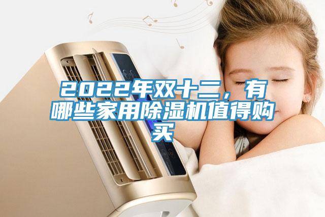 2022年雙十二，有哪些家用除濕機值得購買