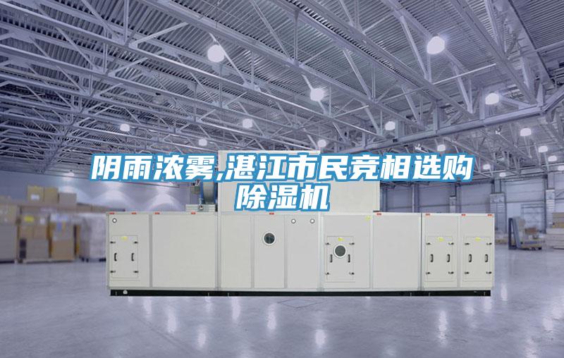 陰雨濃霧,湛江市民競相選購除濕機