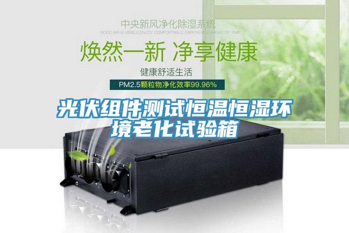 光伏組件測試恒溫恒濕環境老化試驗箱