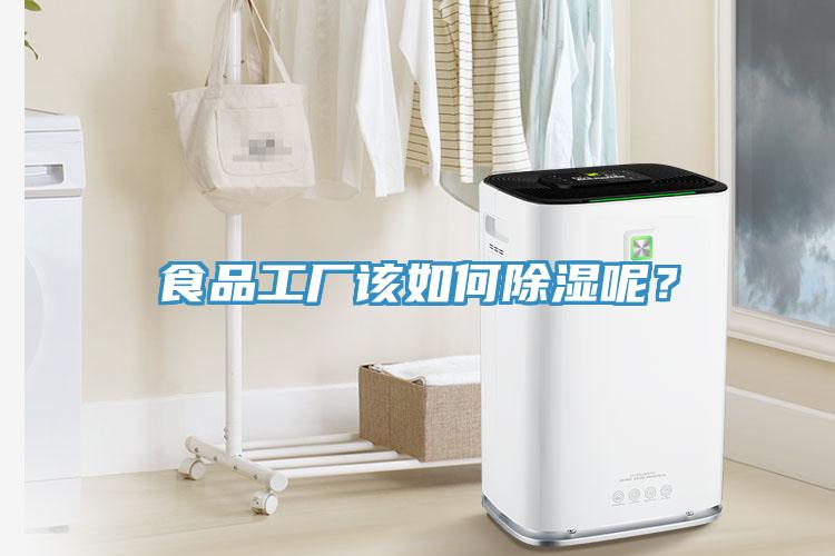 食品工廠該如何除濕呢？