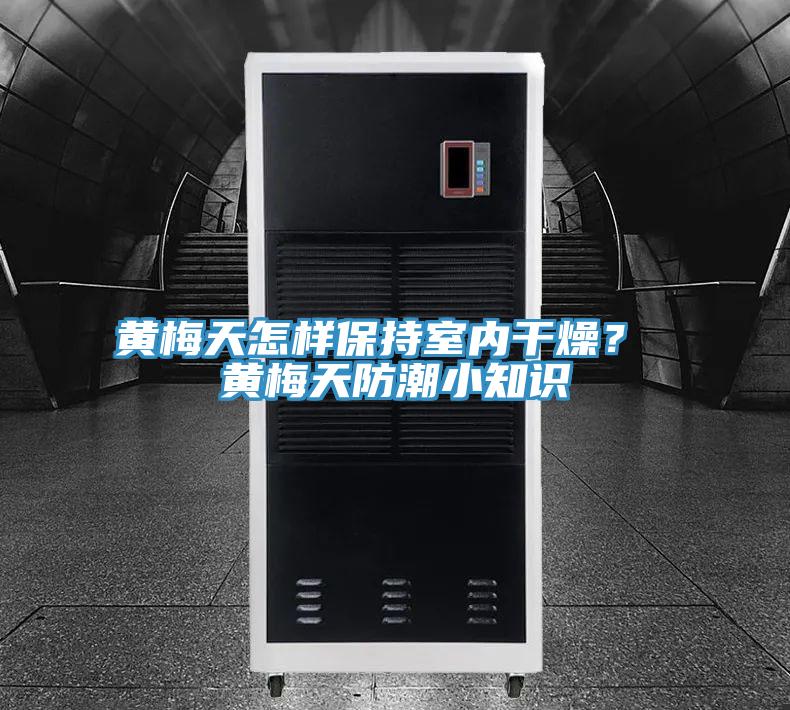 黃梅天怎樣保持室內干燥？ 黃梅天防潮小知識