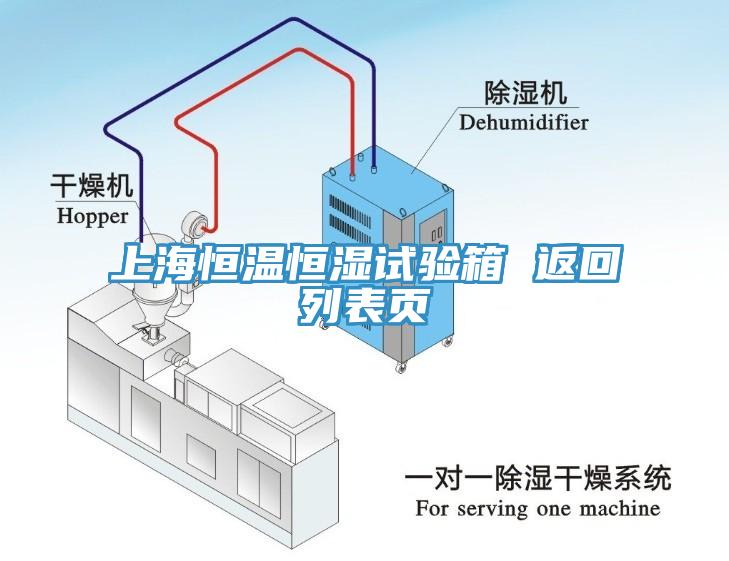 上海恒溫恒濕試驗箱 返回列表頁