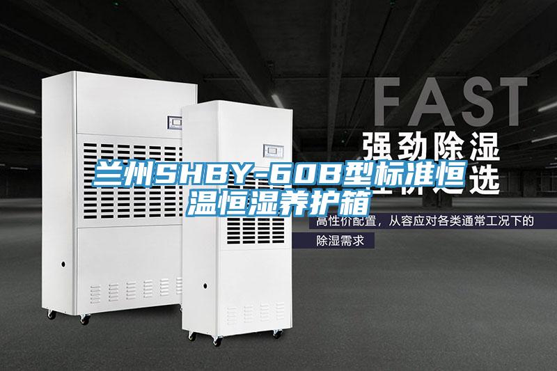 蘭州SHBY-60B型標準恒溫恒濕養護箱