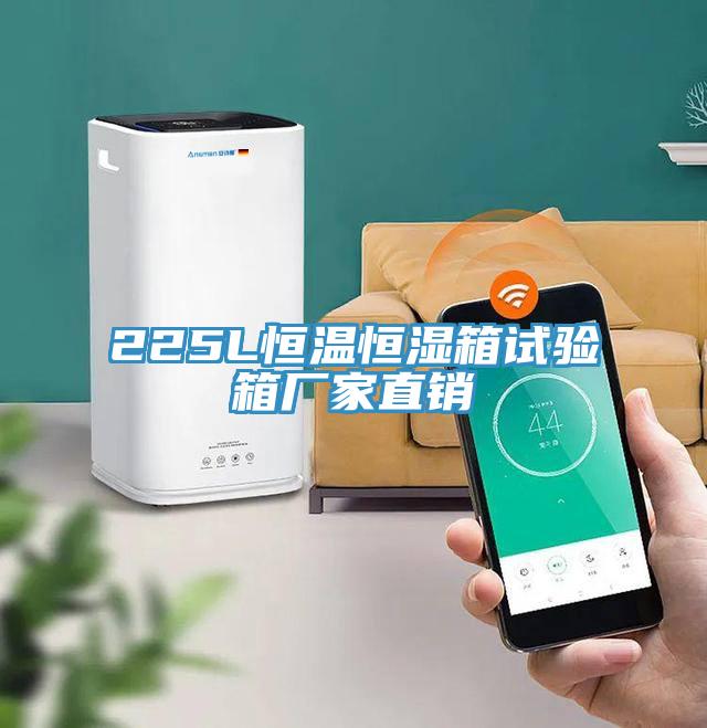 225L恒溫恒濕箱試驗箱廠家直銷