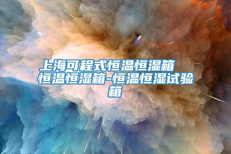上?？沙淌胶銣睾銤裣? 恒溫恒濕箱-恒溫恒濕試驗箱