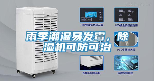 雨季潮濕易發霉，除濕機可防可治