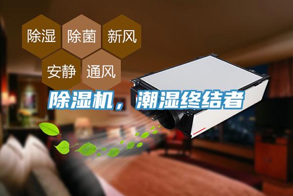 除濕機，潮濕終結者