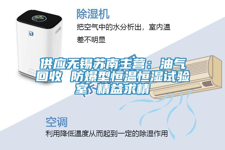 供應無錫蘇南主營：油氣回收 防爆型恒溫恒濕試驗室 精益求精
