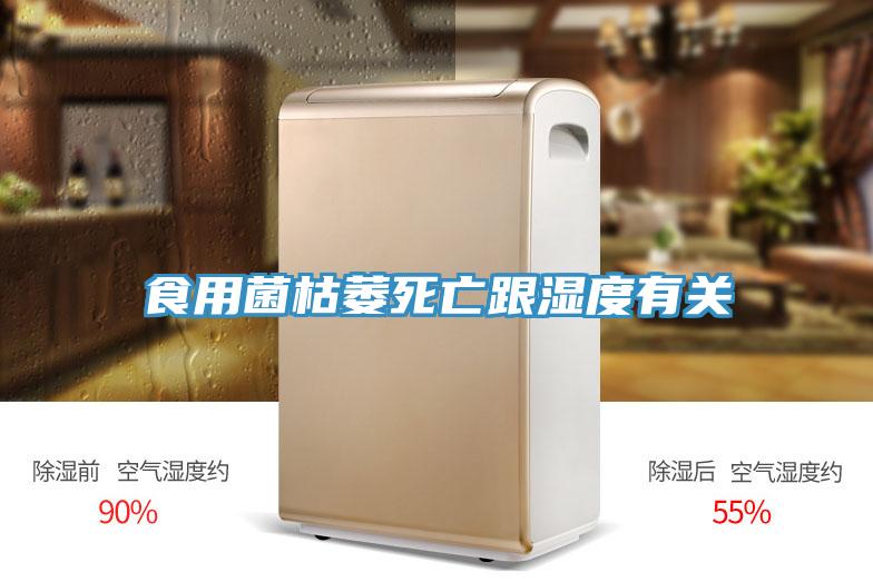 食用菌枯萎死亡跟濕度有關