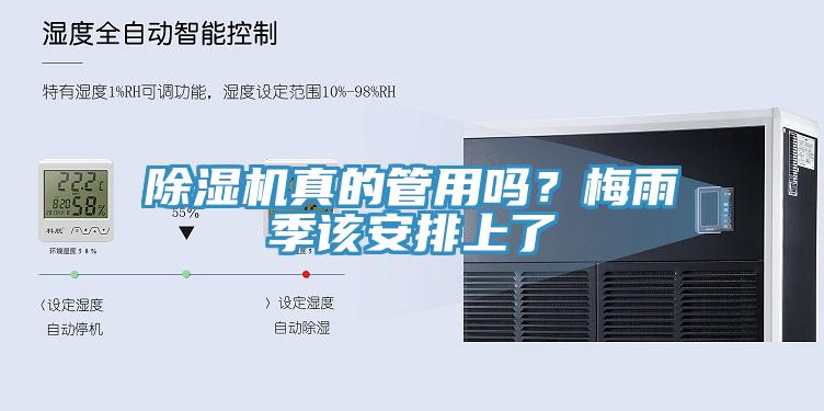 除濕機真的管用嗎？梅雨季該安排上了