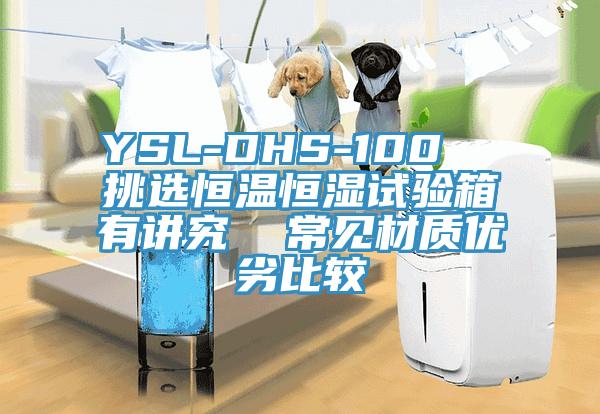 YSL-DHS-100  挑選恒溫恒濕試驗箱有講究  常見材質優劣比較